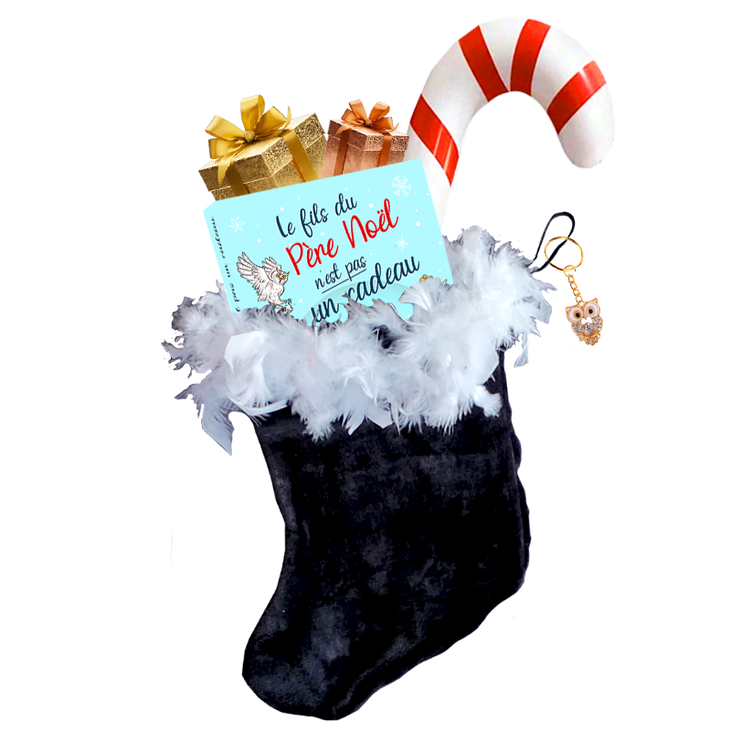 Box-de-Noel-broche