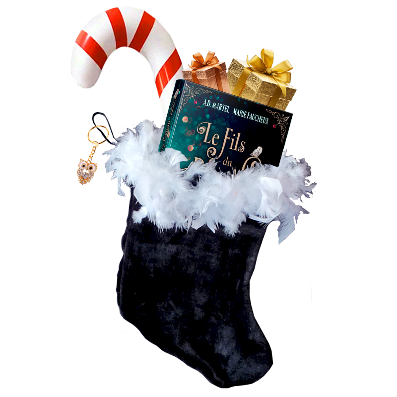 Box-de-Noel-relie