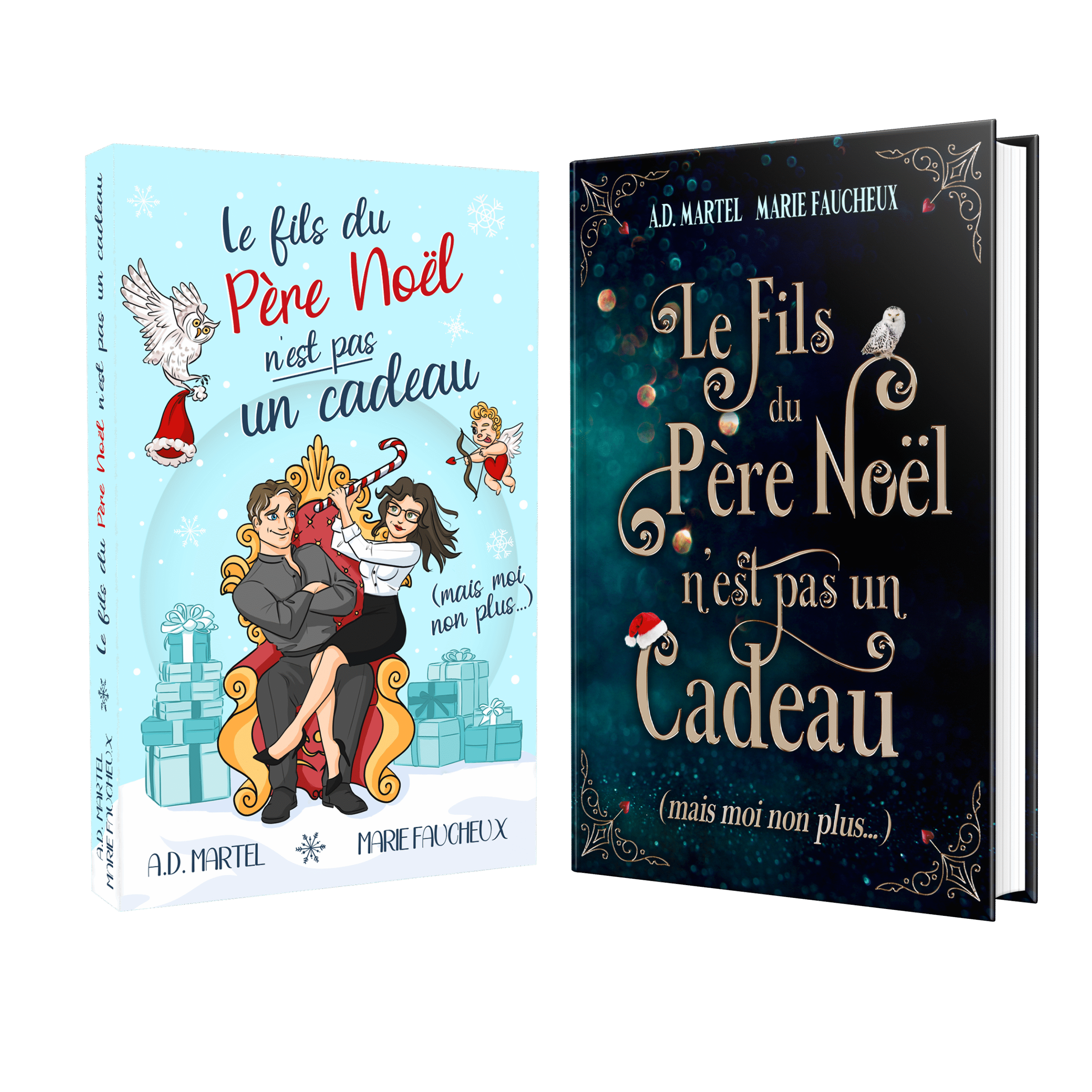 Bundle-broche-relie-romance-de-noel-bleu