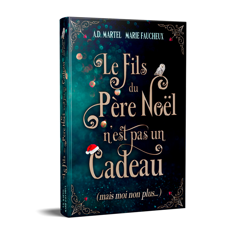 Le-fils-du-pere-Noel-relié