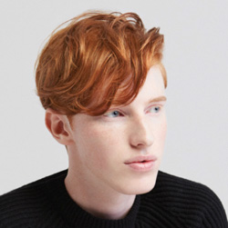 Fannie Moreno Fannie Moreno