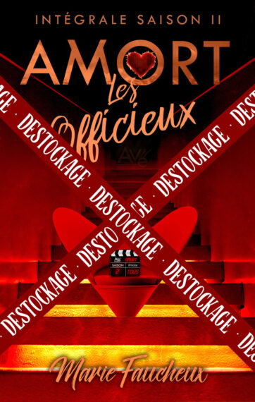 Destockage-Cover-AMORT-2-ebook