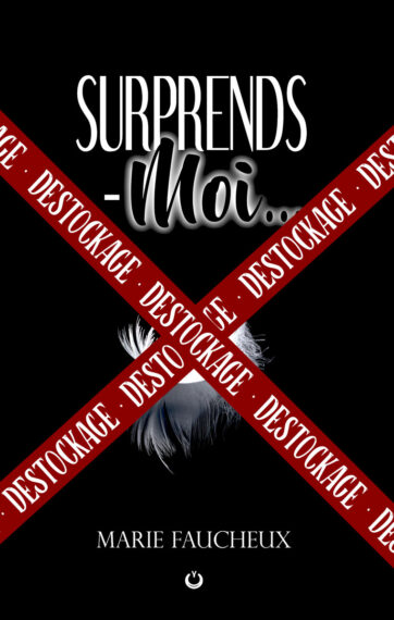 destockage-surprends-moi-int